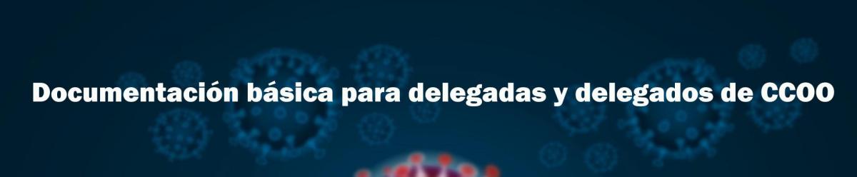 Informacin para delegados y delegadas de CCOO