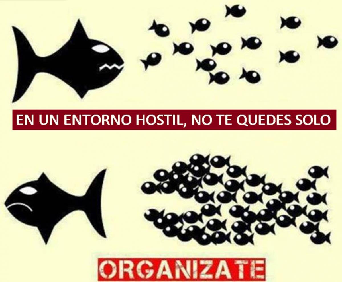 En un entorno hostil ORGANIZATE